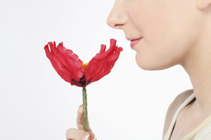 düfte und aromen geruchssinn