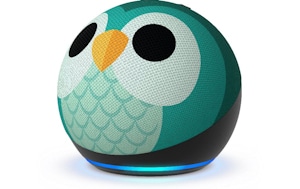 echo dot kids