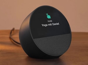 echo spot 2024